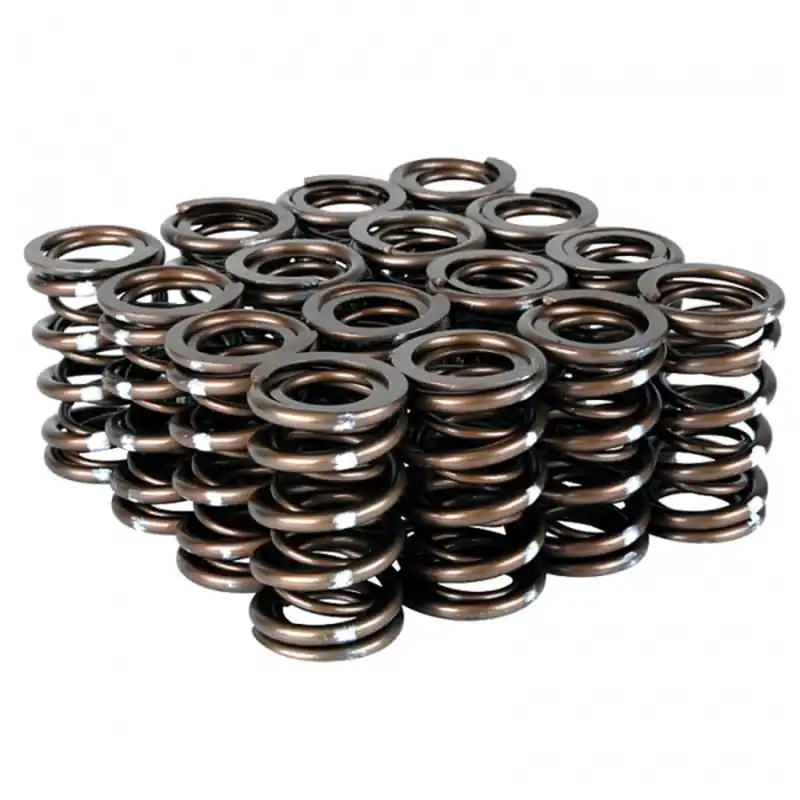 Skunk2 Pro Series Honda/Acura K-Series i-VTEC XP Valve Spring Set (Dual Springs) (SKK311-05-7380)