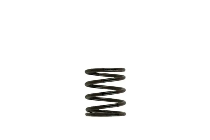 Turbosmart WG40 3PSI Inner Spring Brown/Black (TURTS-0505-2001)