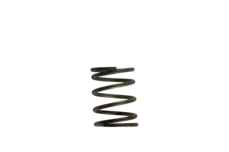 Turbosmart WG40 5PSI Inner Spring Brown/Grey (TURTS-0505-2002)