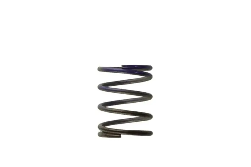 Turbosmart WG40 7PSI Middle Spring Brown/Purple (TURTS-0505-2003)