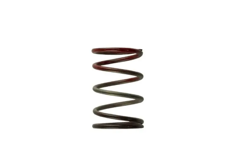 Turbosmart WG40 11PSI Middle Spring Brown/Red (TURTS-0505-2004)
