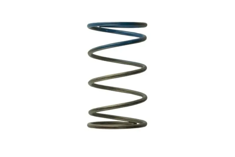 Turbosmart WG40 10PSI Outer Spring Brown/Blue (TURTS-0505-2005)
