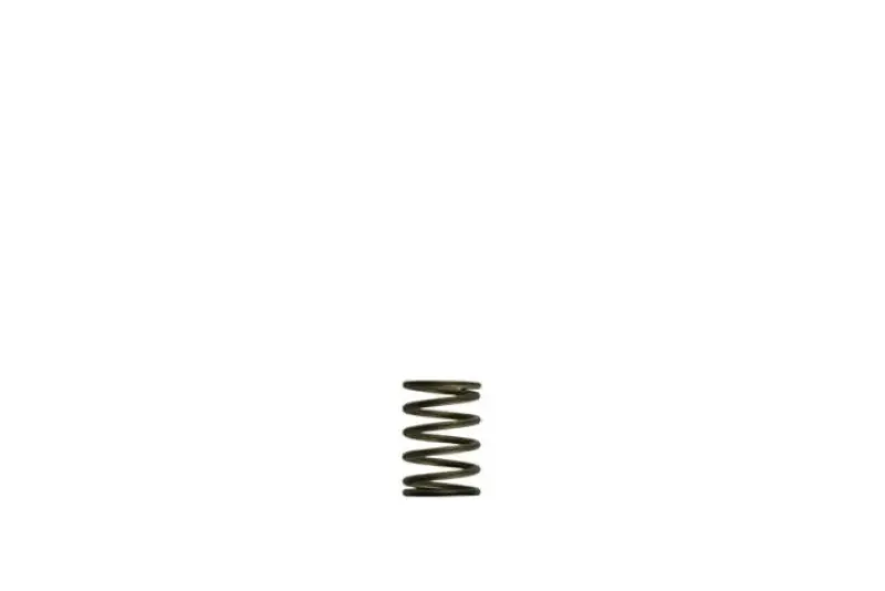 Turbosmart Gen-V WG38/40 3psi Black Inner Spring (TURTS-0550-3081)