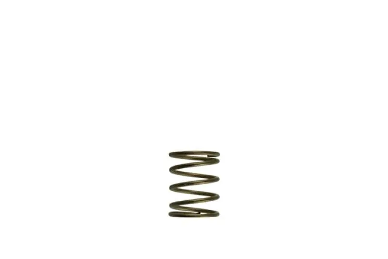 Turbosmart Gen-V WG45/50 3psi Orange Inner Spring (TURTS-0550-3085)