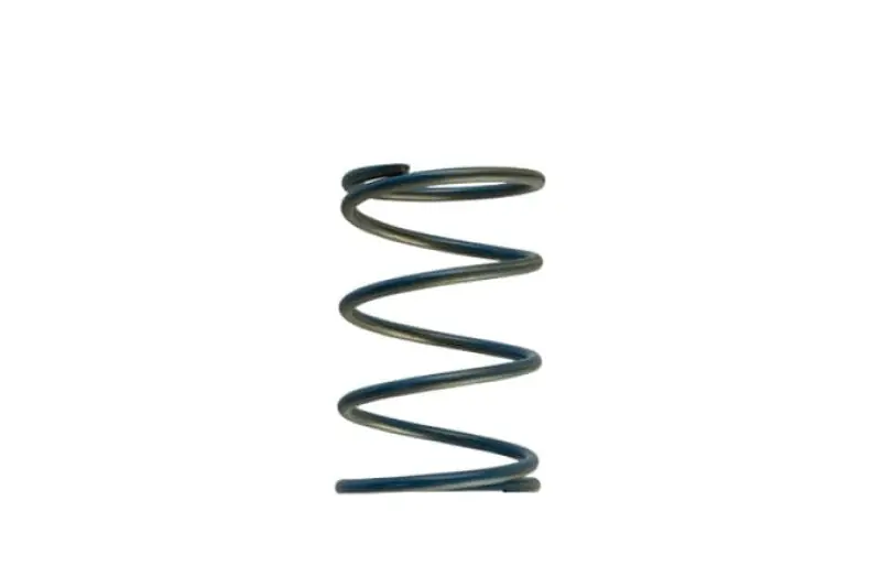 Turbosmart Gen-V WG45/50 14psi Blue Outer Spring (TURTS-0550-3088)