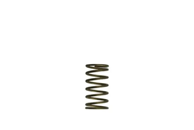 Turbosmart WG60 Gen-V 3psi Inner Spring (TURTS-0550-3089)
