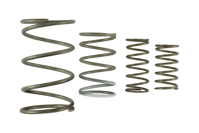 Turbosmart Gen V WG60 Spring Replacement Kit (TURTS-0550-3152)