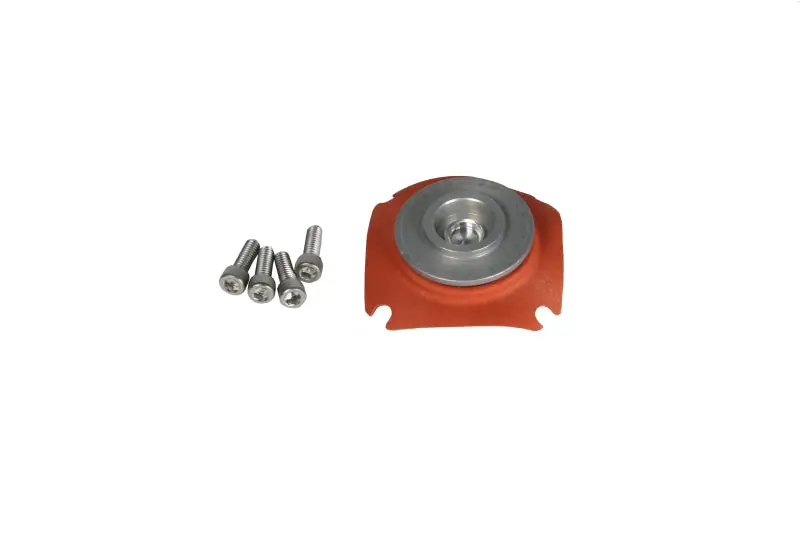 Aeromotive Regulator Repair Kit (for 13138/13139/13140) (AER13011)