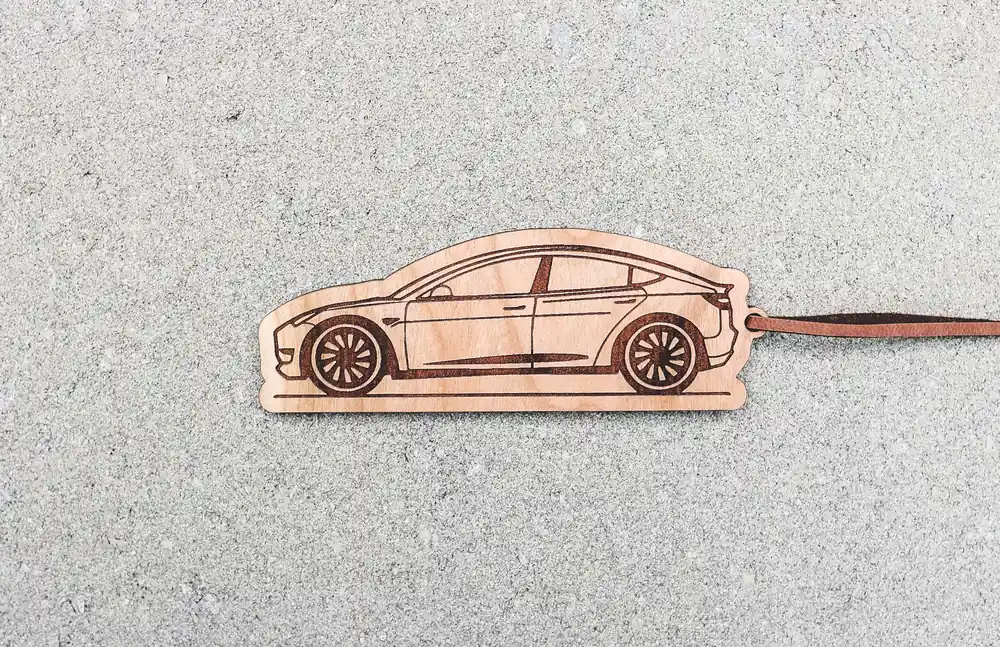 Model S Frshslab