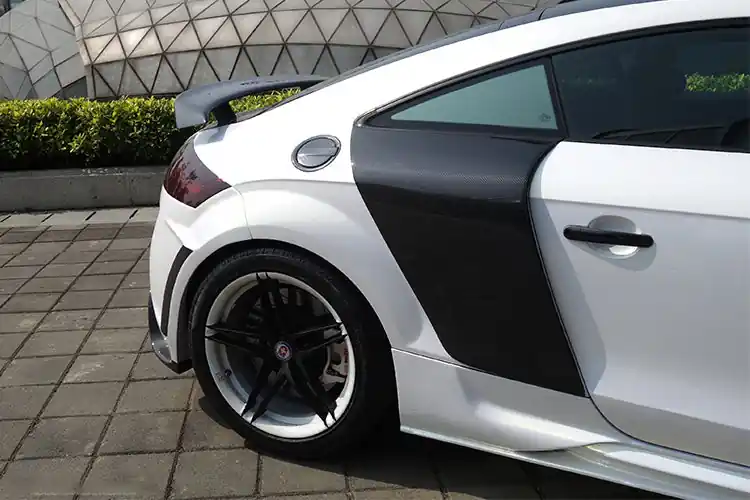 DarwinPRO DPRG Style Side Blades | 2006-2014 Audi TT & TTS