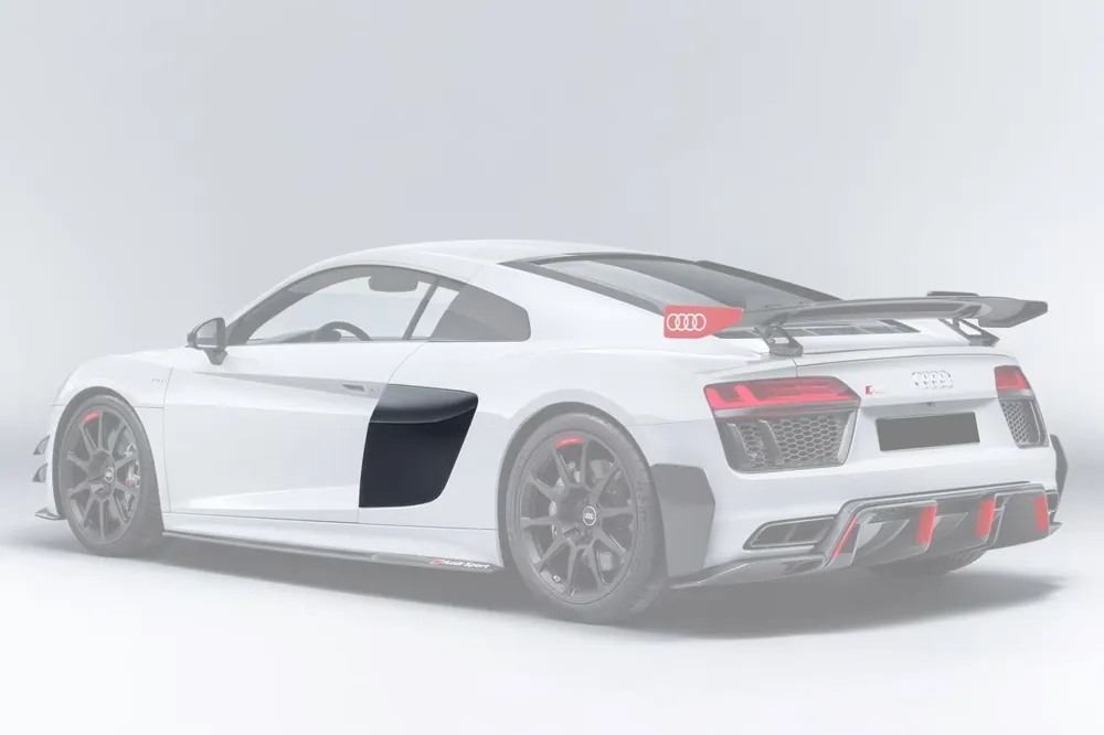 DarwinPRO GT4 Style Dry Carbon Fiber Side Door Panel Blades | 2016-2025 Audi R8 Coupe & Spyder