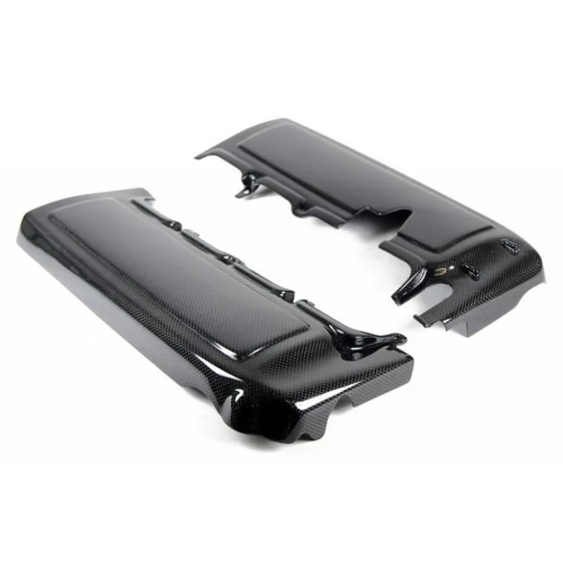APR Carbon Fiber Fuel Rail Covers (2005-2010 Mustang)