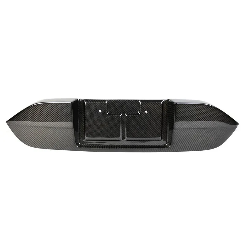 APR Carbon Fiber License Plate Backing (2017-2021 Honda FK8 Civic Type R)