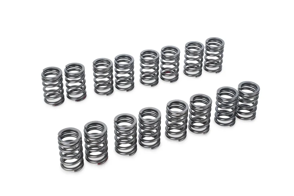 Tomei Valve Spring Set Sr20De(T)