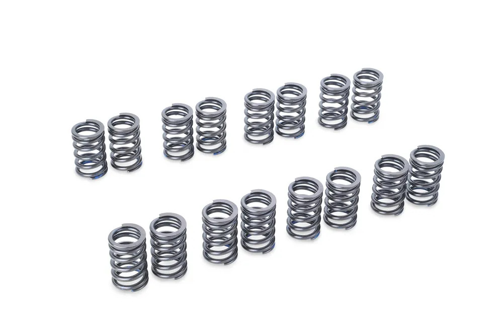 Tomei Valve Spring Set Ej205/Ej207/Ej255/Ej257