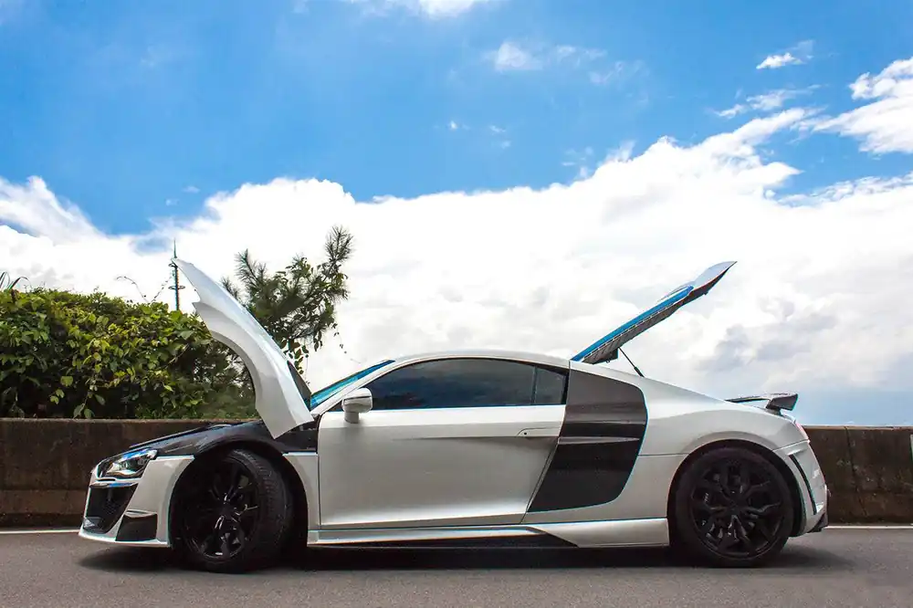 Carbonado 2009-2015 Audi R8 Coupe Spyder OE Style Carbon Fiber Side Blades