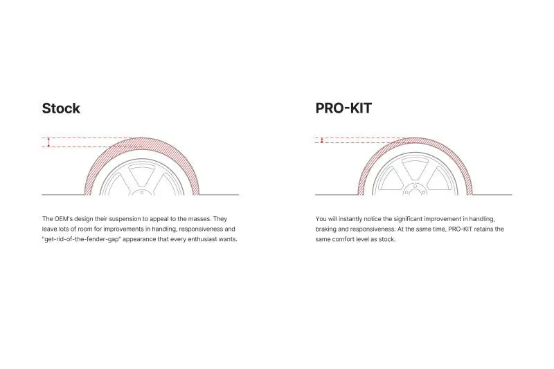 Eibach Pro-Kit EV for 24-25 Tesla Model Y RWD