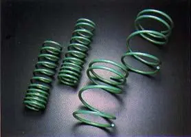 Tein 05+ Mustang V8 GT S. Tech Springs